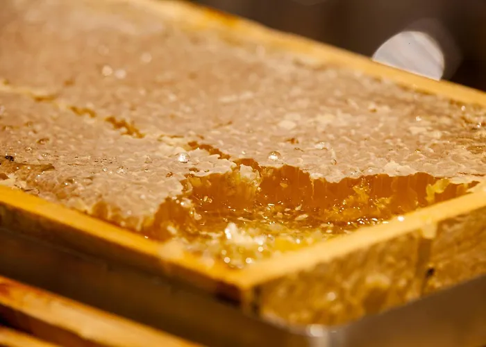 Hotel Hotel-restaurant Grimmingblick